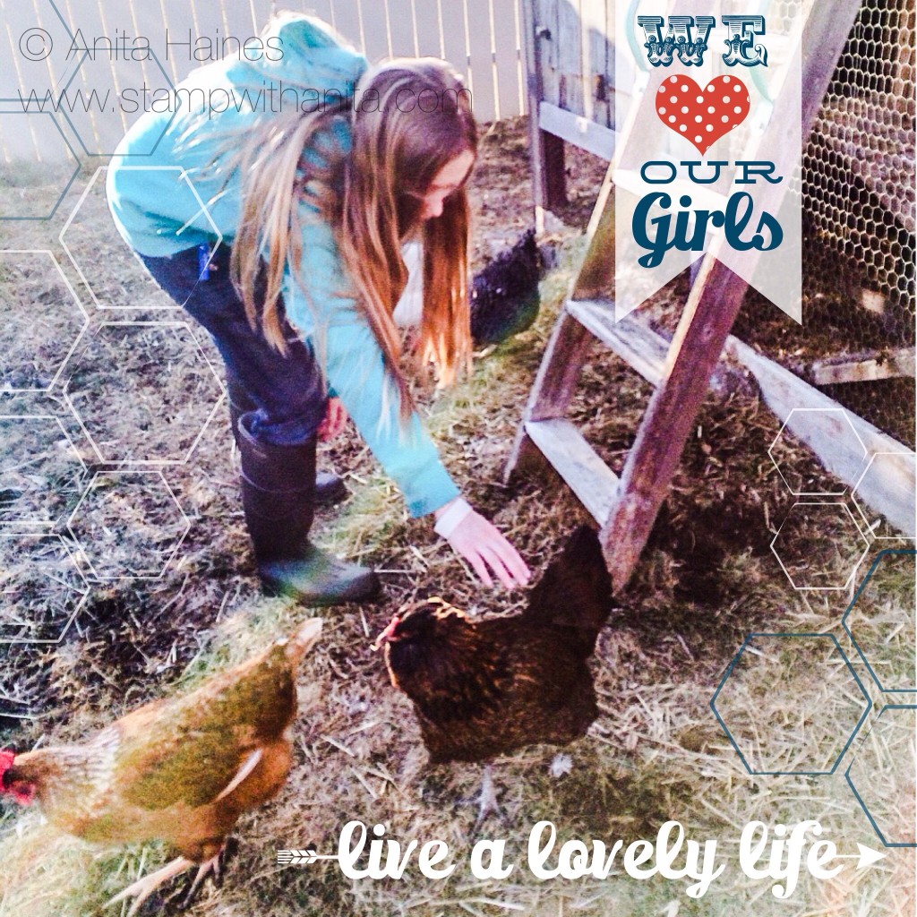 Live a Lovely Life... raise chickens 