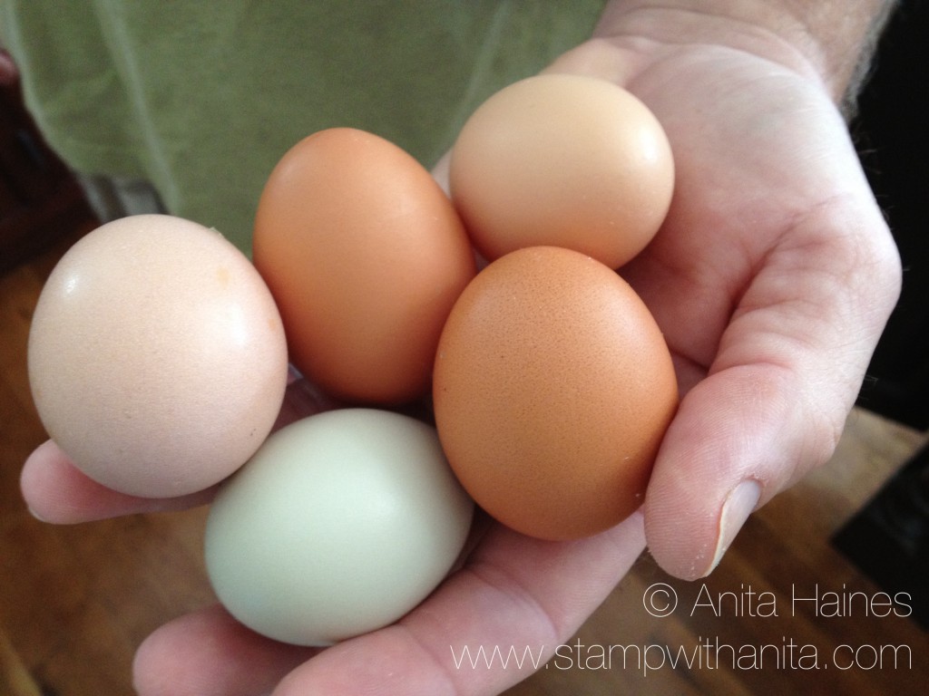 handful of eggs