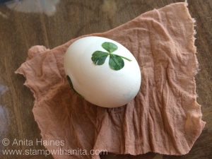 CloversEgg2_www.stampwithanita.com